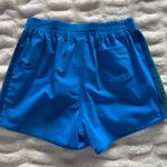 Aviator Nation  5 Stripe Shorts Photo 3