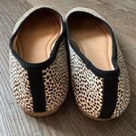 Madewell The Reid Ballet Flat in Spotted Calf Hair size 9 Photo 3