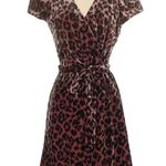 J.Crew Faux Wrap Velvet Rose Leopard Print Dress Size 2 XS Shabby Chic Photo 11
