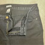 Westport | Short Black Straight Leg Jeans | 12S Photo 4