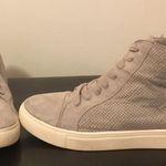 Steve Madden Gray  High Tops Photo 0