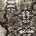 VIX snakeskin bikini bottom. NWOT Brown Size XS Photo 5