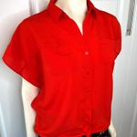 The Limited Solid Collared Button Down Blouse Photo 3