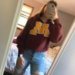University Of Minnesota Hoodie Red Photo 0