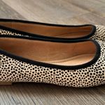 Madewell The Reid Ballet Flat in Spotted Calf Hair size 9 Photo 4