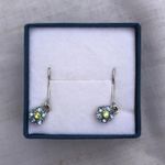 Blue And Green Floral Earrings Photo 0