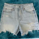 American Eagle Women’s 90s Boyfriend Short Size 2 Photo 1