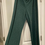 NWOT Serengeti Size XL Emerald Green Sparkle Flowy Wide Leg Pull On Pants Photo 0