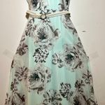 Madison Leigh Elegant women's  long dress.Size14.$45. Photo 1