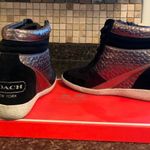 Coach High Top Wedge Sneakers Photo 1