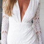 Xenia Medium Photo 0