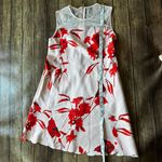 Ted Baker 🌹  London “Jaazmin” Fantasia Scallop Hem Floral Dress Size 2 (US 6) Photo 2