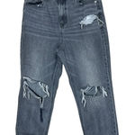 American Eagle  Gray Distressed Mom Jeans Size 10 short Photo 0
