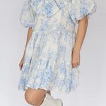 Floral Blue and White Dress Photo 0
