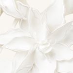 JW Pei  Cutout Mini Dress Photo 3