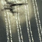 Black tropical print top size 10P Photo 2