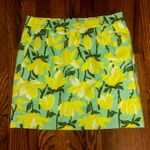 J.Crew  Skirt Photo 0