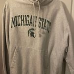 Champion Michigan State Sweatshirt Photo 0