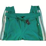 Torrid NWT  LoveSick Classic Fit High Rise Lurex Stripe Joggers Green Size 3X Photo 3