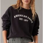 American Eagle Funday Gray/Grey Distressed Crewneck Graphic Sweatshirt Photo 10