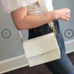 JW Pei  Flag Bag in Ivory Lizard  Photo 5