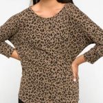 Market & Spruce  Corinna‎ Brushed Dolman Knit Top - Size Small Photo 8