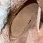 UGG  Adria Chestnut Sheepskin Suede Boots Photo 4