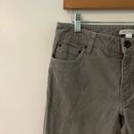 Garnet Hill  Gray Essential Slim Five-Pocket Cords Corduroy Pants Photo 13