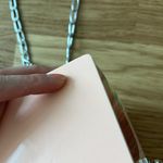 Edie parker pink strawberry acrylic trunk Photo 8