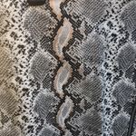 Endless Rose New Asymmetric Zip Front Snake Skin Print Mini Skirt Photo 3