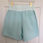 Nike Jordan Women’s Flight Fleece Shorts Light Dew M Photo 7