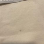 NEW PACT Med 100% Organic Cotton Baby Bellas Mushroom Cream Slouchy Sweatshirt Photo 5