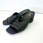 Seychelles  Black Woven Raffia Block Heel Mules Sandals Square Toe Slides Size 8 Photo 2