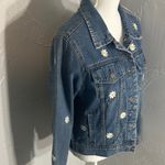 Veveret Daisy Photo 2