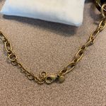 J.Crew  chain link tortoise necklace with pouch Photo 4