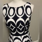 The Limited  A line Pleated Drop Waist Dress With Pockets Photo 3