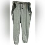 Nike  Gray Joggers Sweatpants Mid Rise standard fit 3X Photo 3