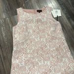 Victoria Beckham x Target Blush Shift Dress size large NEW Pink Photo 3