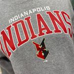 Champion Indianapolis Indians Sweatshirt M Photo 1