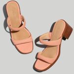 Madewell  Double Strap Heeled Mule Sandals size 9 Photo 0