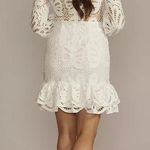 David's Bridal Allover Lace Flounce Hem Long Sleeve Dress Photo 1
