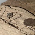 Vintage Light Sky Blue Sterling Silver 925 Topaz 8mm Drop Earrings Hook Backs Photo 4