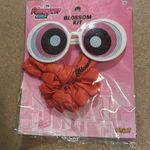 Powderpuff girls blossom kit Photo 0