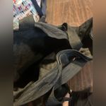 Disney Walt  World Character Large Tote Shoulder Bag Mickey Mouse, Black Photo 5