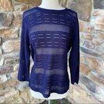 Jason Maxwell  Pointelle Sweater Photo 4