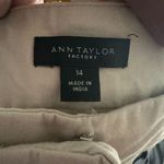 Ann Taylor tan minimalist classic size 14 flat front shorts Photo 2