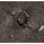 secret treasures  Black Floral Pink Lace Overlay on part Underwire Bra Size 40DDD Photo 5