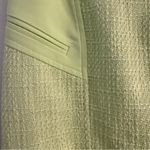 Mario Serrani  Elegant Lime Green Women's Skirt size 6 NWT Photo 1