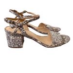 J.Crew  Lizard Snake Print Leather Block Heel Strappy Sandal size 8.5 Gray Cream Photo 1