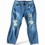 Judy Blue  Lemon Print Lined patchwork raw hem stretch Skinny fit Jeans 16 w Photo 1